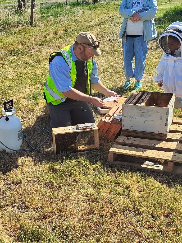 about-02 Hiving 1 Rotated
